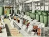 Postcard - Fluid Extract Department of Ray Chemical Co. Detroit