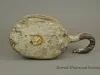 Block and Tackle