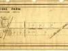 Map - Woodbridge Farm
As Divided by the Commissioners in Partition