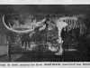 Postcard - Frank & Seder presents the Great Mastodon, discovered near Detroit