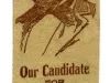 Ribbon, Political