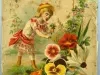 Catalog - 1881 Seed Annual