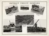 Report, Annual - Annual Report of the Detroit and Wayne County Thrift Gardens for the Year 1935