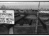 Print, Photographic - Detroit Water Pumping Station, Belle Isle