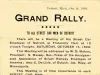 Handbill, Political