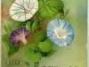 Catalog - Seed Annual 1913