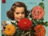 Catalog - Ferry's Home Garden Guide