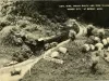 Postcard - Coal Mine, Indian Gulch and Tepee Village, "Midget City," at Detroit, Mich.