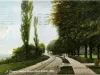 Postcard - A Pleasant Walk at Grosse Point, Detroit, Mich.