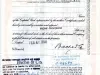 Certificate, Stock - Detroit and Cleveland Navigation Company
