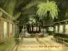 Postcard - Interior of Aquarium, Belle Isle, Detroit, Mich.