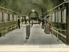 Postcard - Interior of the Aquarium, Belle Isle, Detroit, Mich.