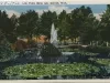 Postcard - Lily Pond, Belle Isle, Detroit, Mich.