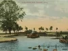 Postcard - Lily Pond, Belle Isle, Detroit, Mich.