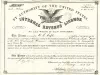 License - Internal Revenue License