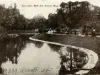 Postcard - Swan Lake, Belle Isle, Detroit, Mich.