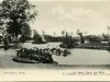 Postcard - Detroit, Mich. Lily Pond, Belle Isle Park