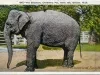 Postcard - The Elephant, Children's Pet, Belle Isle, Detroit, Mich.