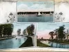 Postcard - Greeting from Belle Isle, Detroit, Mich.