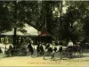 Postcard - Ponies, Belle Isle, Detroit, Mich.
