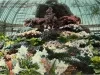Postcard - Interior of Horticultural Building, Belle Isle, Detroit, Mich.