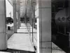 Negative, Film