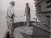 Negative, Glass-plate