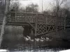 Negative, Film