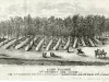 Lithograph - Camp Palmer, 1st Regiment Mich. Cavalry.