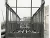 Print, Photographic - Front End - Motor Car