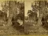 Stereograph - No. 85 Bloody Run