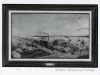 Print, Photographic - Parke, Davis & Company, 1883