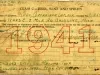 License, Occupational