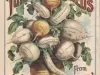 Poster - Turnip Seeds,
New & Reliable from D. M. Ferry and Co.