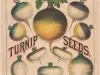 Poster - D. M. Ferry & Co.'s Turnip Seeds