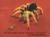 Poster - Consumer Protection
[Milliken for Michigan]