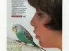 Advertisement
