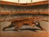 Scorecard - Official Detroit Tigers Score Card
Briggs Stadium, 1946