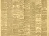 Newspaper - Detroit Advertiser and Tribune