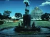 Transparency, Slide - Belle Isle Conservatory