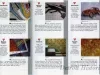 Pamphlet - Art in the Stations
