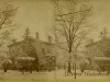 Stereograph