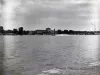 Negative, Film