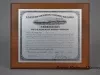 Plaque