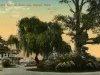 Postcard - A Pretty Spot on Belle Isle, Detroit, Mich.