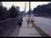 Transparency, Slide - Charlevoix St. Alert