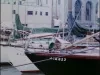 Film, Motion Picture - Color Travel