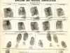 Card, Identification - Detroit Terminal Railroad Company 
Employee Identification Card