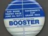Button, Promotional
