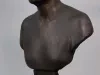 Bust